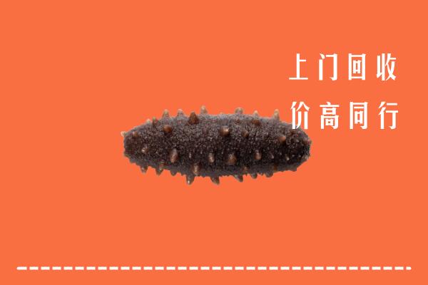 仙桃高价回收海参