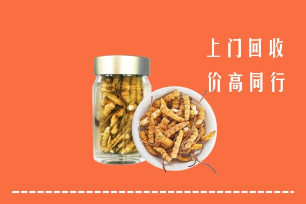 仙桃回收冬虫夏草